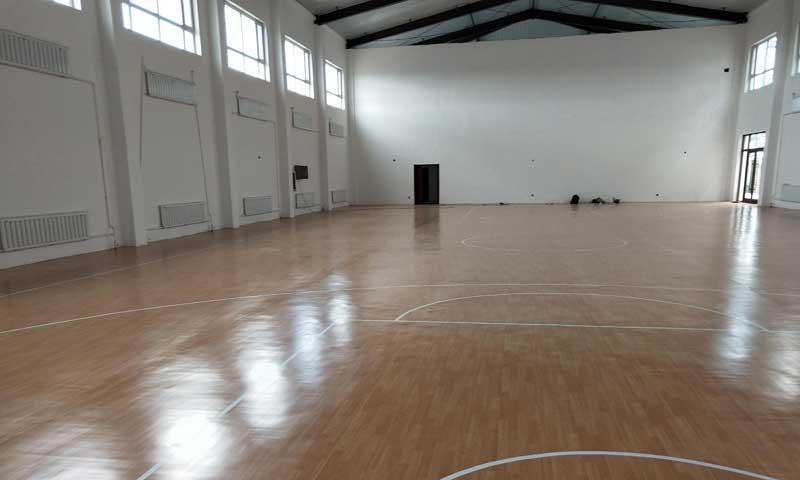 吉林省白城市鎮賚縣籃球場地板